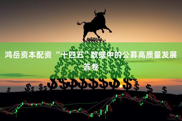 鸿岳资本配资 “十四五”数据中的公募高质量发展答卷