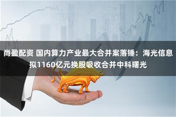 尚盈配资 国内算力产业最大合并案落锤：海光信息拟1160亿元换股吸收合并中科曙光