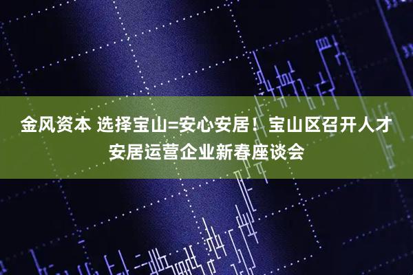 金风资本 选择宝山=安心安居！宝山区召开人才安居运营企业新春座谈会